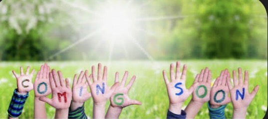 6433